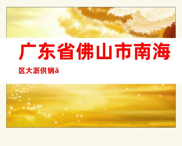 广东省佛山市南海区大沥供销企业集团有限公司